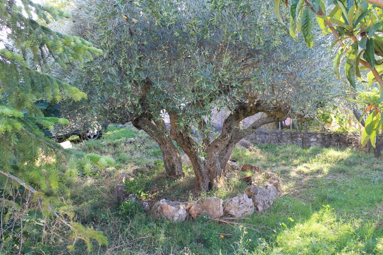 Casa Rural Baobab Romancos Bagian luar foto