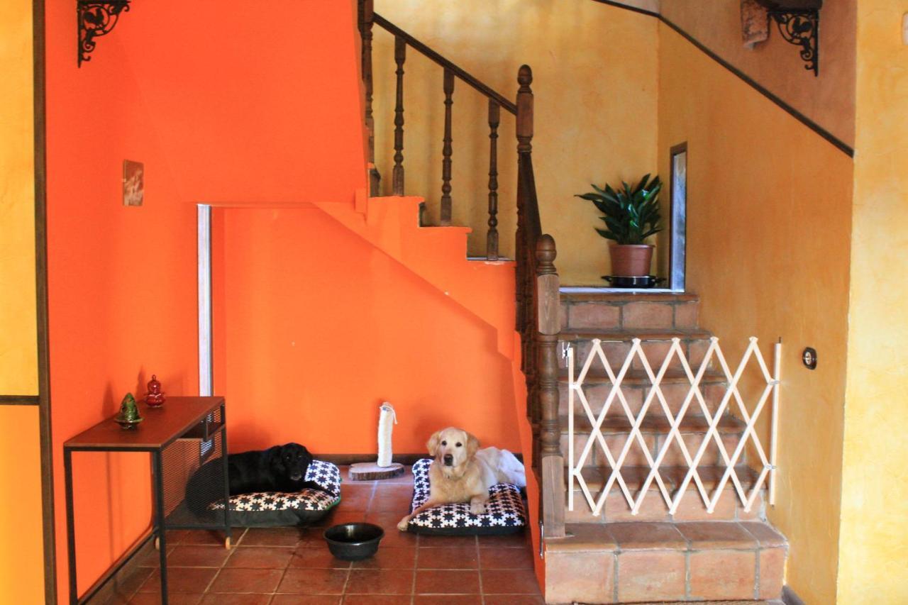 Casa Rural Baobab Romancos Bagian luar foto